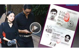 卫滨贷款清欠服务